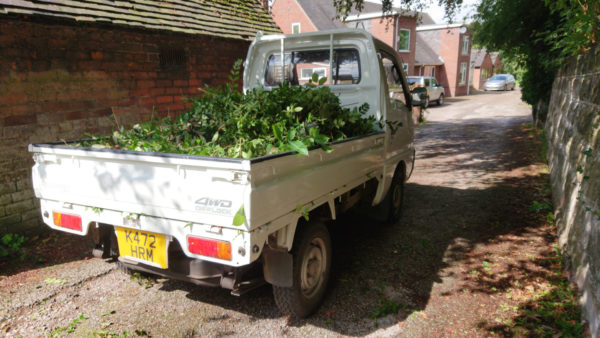 Suzuki Carry DD51T carrying hedge clippings